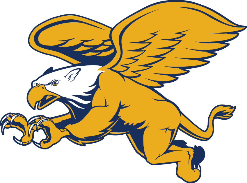 Canisius Golden Griffins 2006-Pres Secondary Logo diy DTF decal sticker